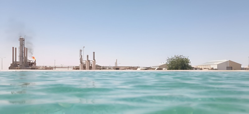 أهمية الصناعات البتروكيميائية ودورها في الاقتصاد اليمني